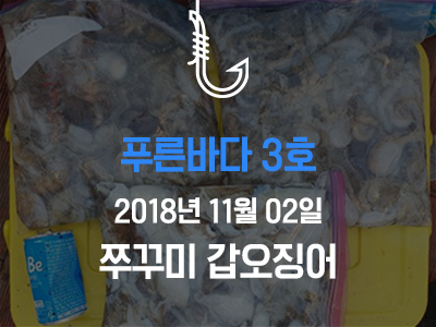 [푸른바다3호] 쭈꾸미 갑오징어
