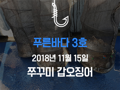 [푸른바다3호] 쭈꾸미 갑오징어