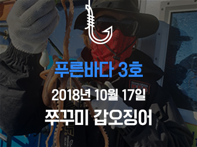 [푸른바다3호] 쭈꾸미 갑오징어