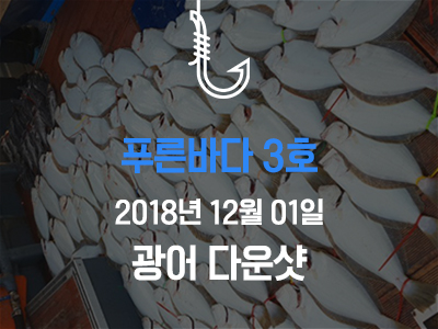 [푸른바다3호] 광어다운샷