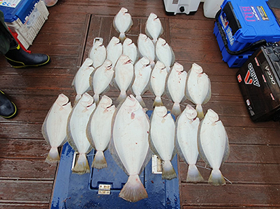 [푸른바다3호] 5월 19일 광어 다운샷~