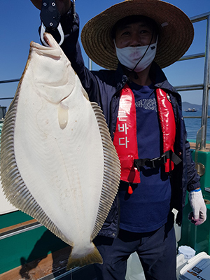 [푸른바다7호] 5월13일 광어 다운샷~