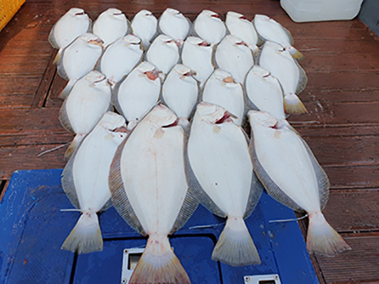 푸른바다 7월 14일 미니낚시대회