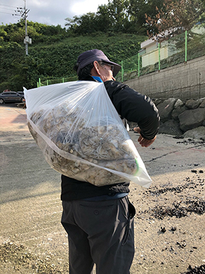 [스마일피싱] 9월23일 쭈꾸미 갑오징어 조황