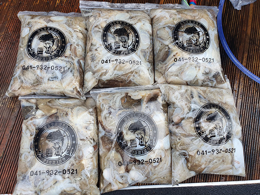[푸른바다3호] 9월26일 쭈꾸미 갑오징어 조황