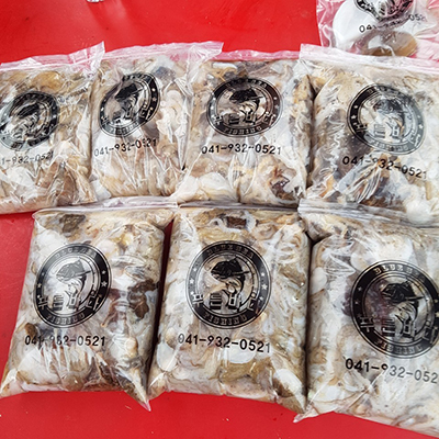 [푸른바다2호] 9월20일 쭈꾸미 갑오징어 조황