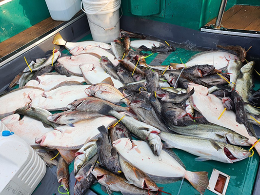 [푸른바다7호] 9월27일 외수질낚시