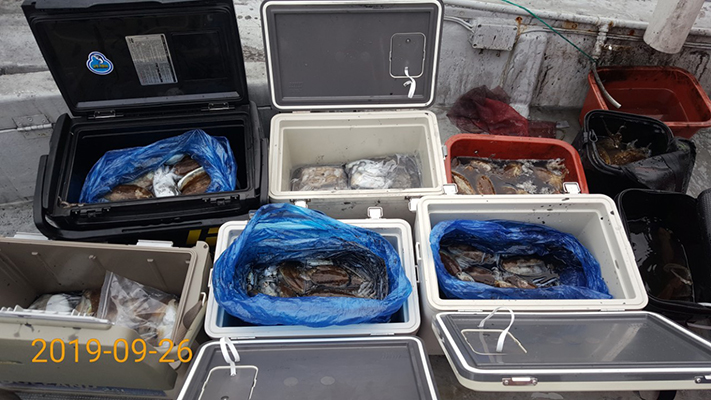 [바다용사호] 9월26일 쭈꾸미 갑오징어 조황