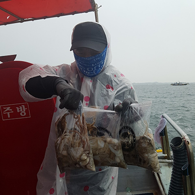 [푸른바다2호] 9월21일 쭈꾸미 갑오징어 조황