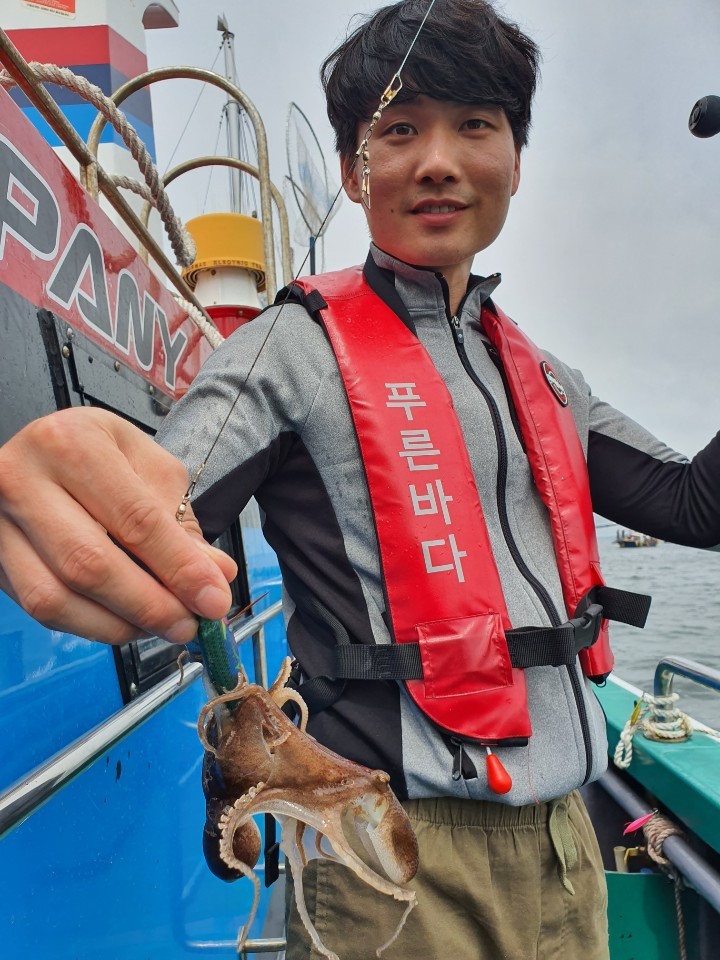 [푸른바다 7호]9월 1일 쭈꾸미 첫 출조~!