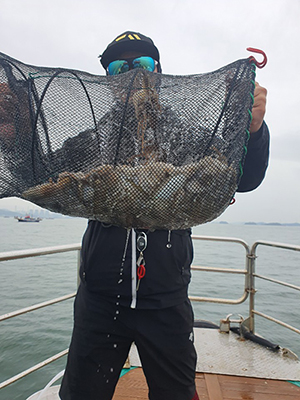 [푸른바다7호] 9월8일 쭈꾸미 조황