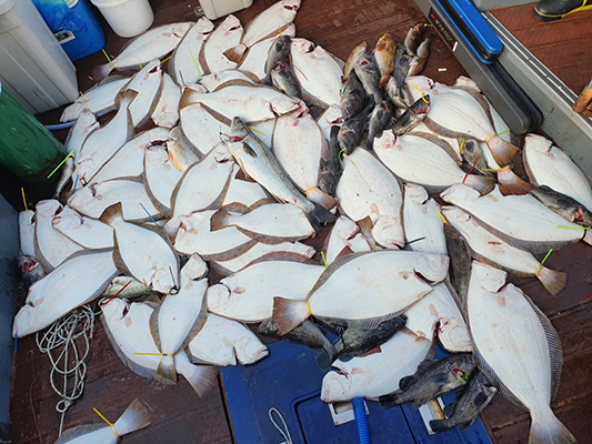 [푸른바다3호] 9월15일 외수질낚시