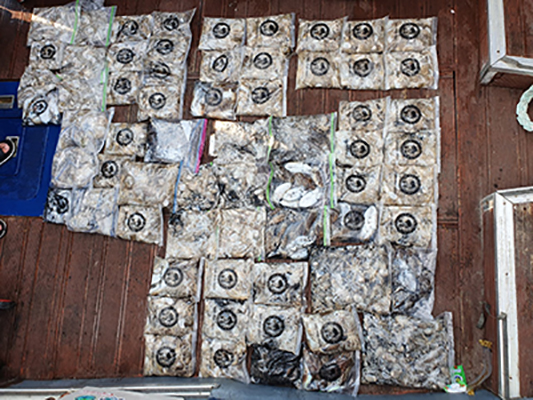 [푸른바다3호] 9월23일 쭈꾸미 갑오징어 조황