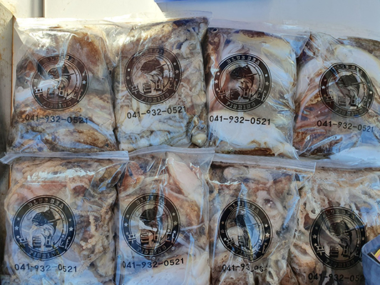 [푸른바다7호]10월08일 쭈꾸미 갑오징어 조황