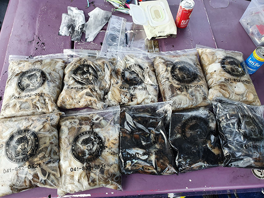 [푸른바다3호]10월10일 쭈꾸미 갑오징어 조황