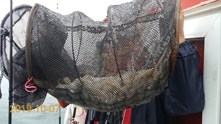 [바다용사호]10월07일 쭈꾸미 갑오징어 조황