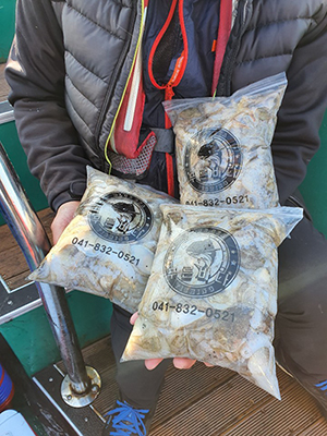 [푸른바다7호]11월05일 쭈꾸미 갑오징어 조황