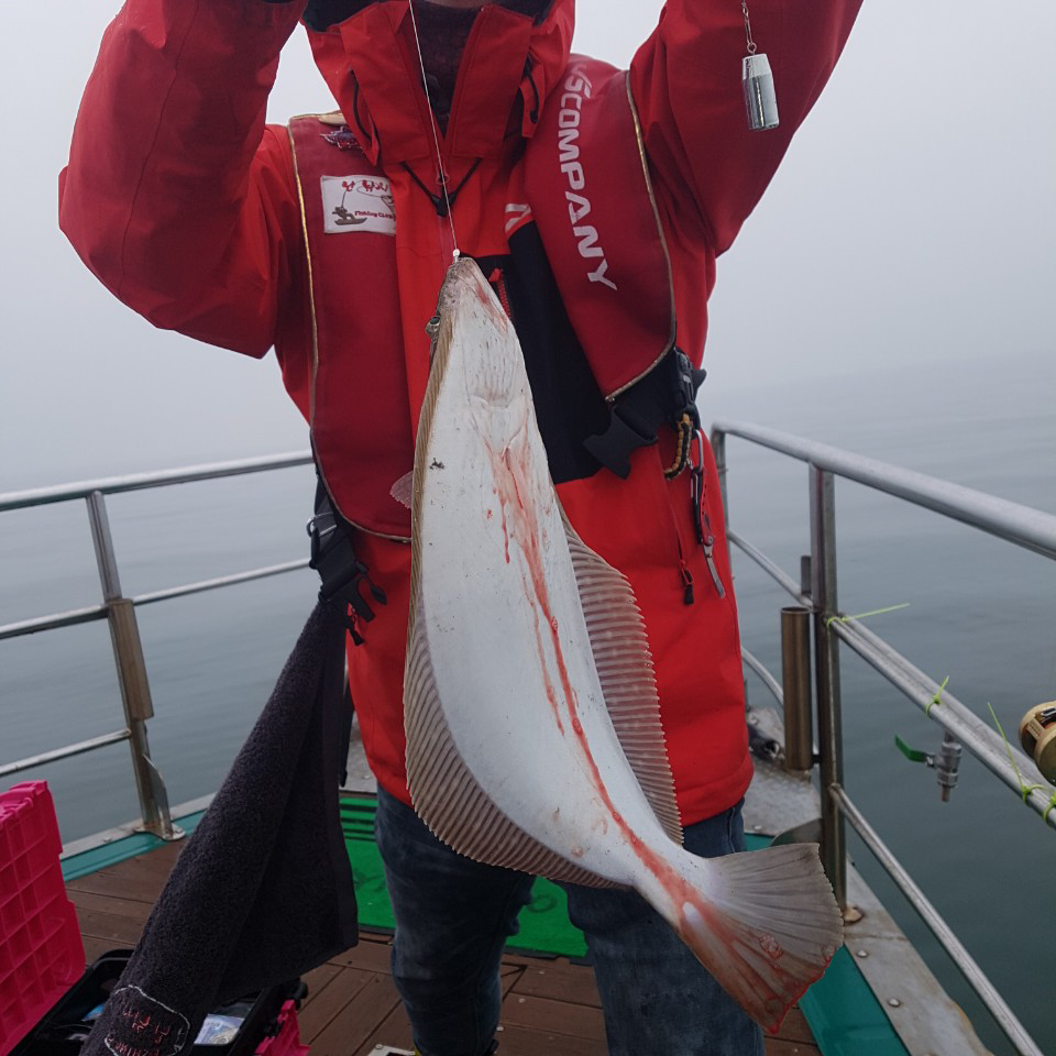 [푸른바다7호]20년 4월 19일 조황!