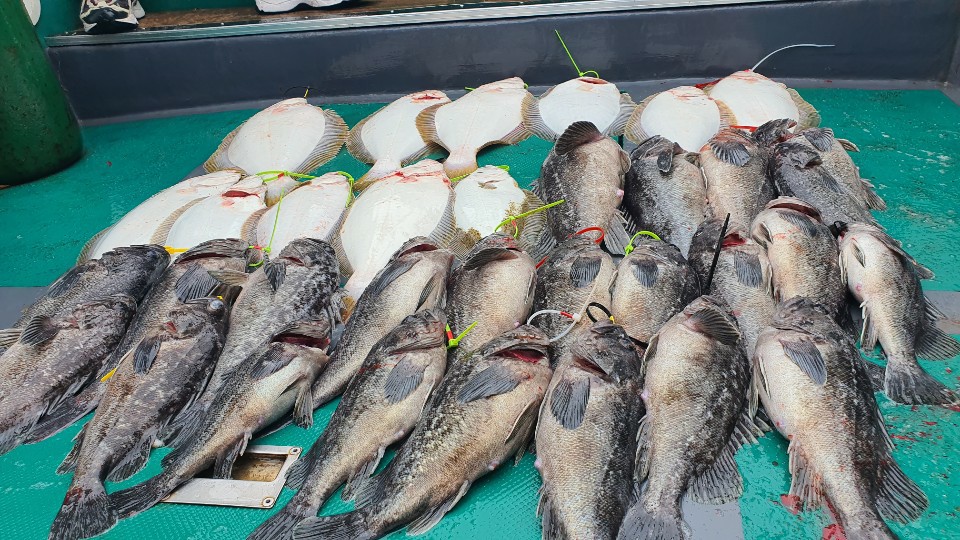 [푸른바다7호]20년 5월 2일 조황!