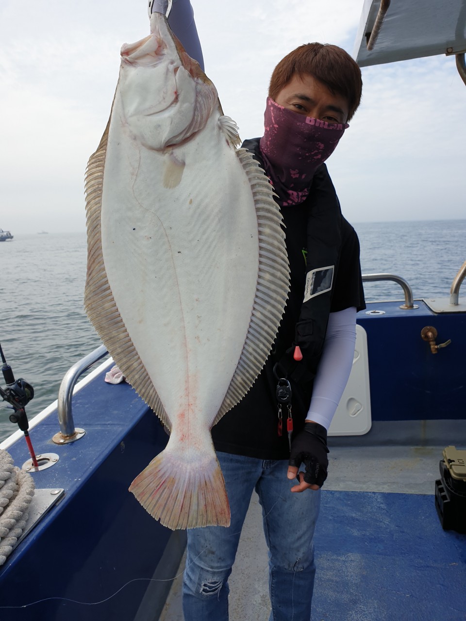 [푸른바다3호]6월 13일 13물 조황정보~!