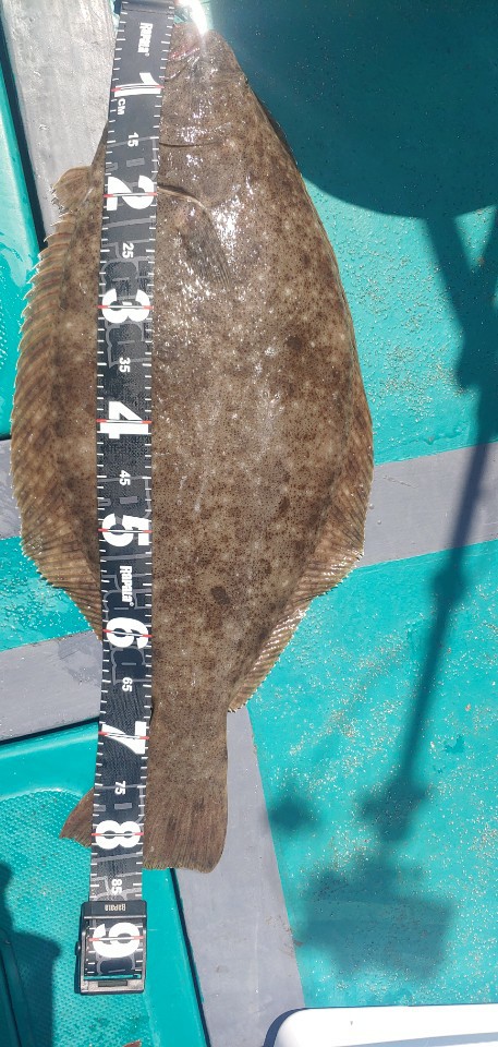 [푸른바다7호]7월 5일 낚시대회 조황!