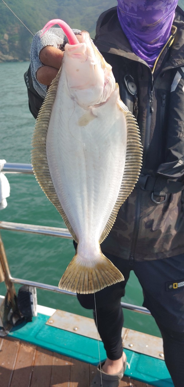 [푸른바다7호]7월 4일 외수질 조행기!