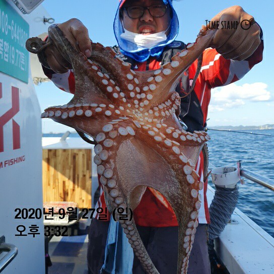 [푸른바다5호] 9월27일 문어가 풍년~쭈갑 조행기~