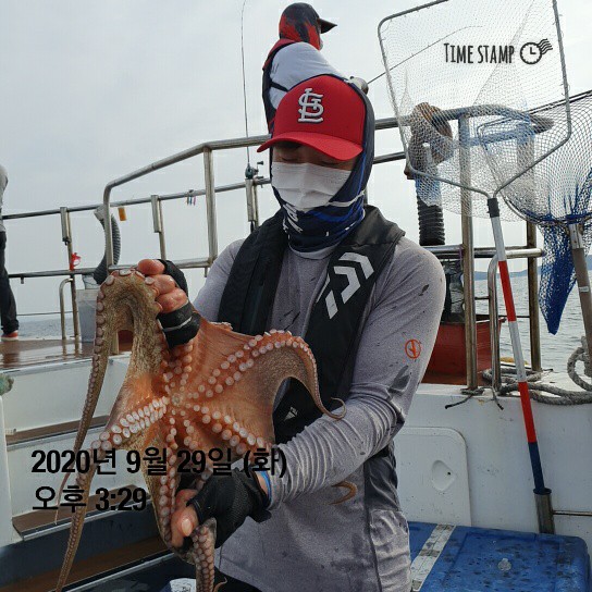 [[[푸바5호]]] 9월29일 쭈갑 조행기~