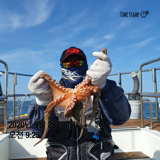 [[[푸바5호]]] 9월28일 쭈갑 조행기~