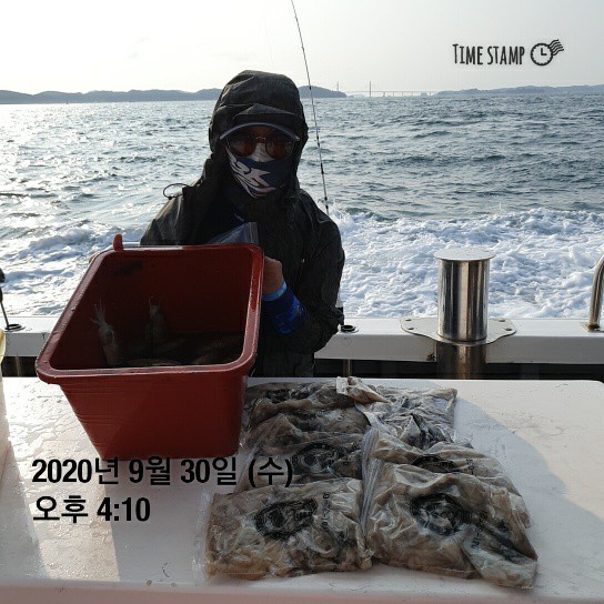 [[[푸바5호]]] 9월30일 쭈갑 조행기~