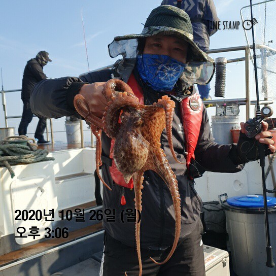 [[[푸바5호]]] 10월 26일 쭈갑~ 조행기~