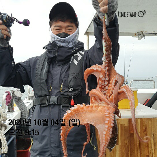 [[[푸바5호]]] 10월 4일 100갑돌이~ 조행기~