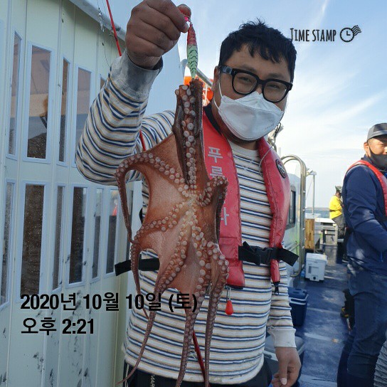 [[[푸바5호]]] 10월 10일 쭈갑~ 조행기~