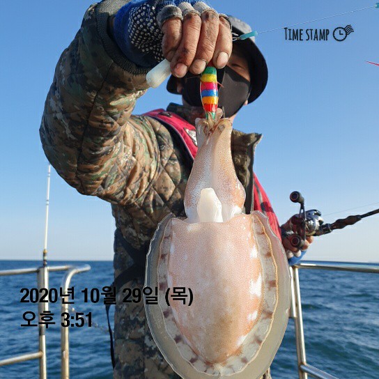 [[[푸바5호]]] 10월 29일 갑돌이~ 조행기~