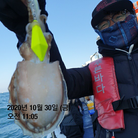 [[[푸바5호]]] 10월 30일 갑돌이~ 조행기~