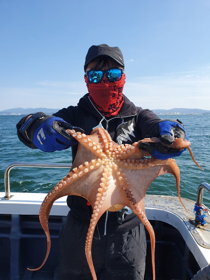 [[[푸바5호]]] 10월 9일 쭈갑~ 조행기~