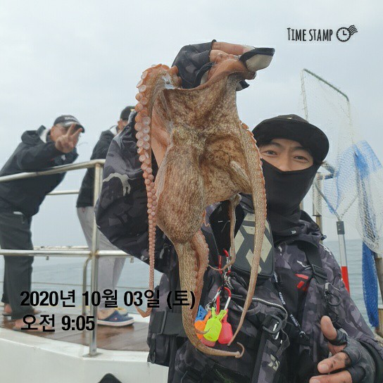 [[[푸바5호]]] 10월 3일 갑돌이~ 조행기~