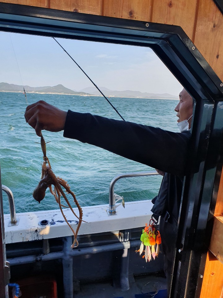 [[[푸바5호]]] 10월 22일 쭈갑~ 조행기~