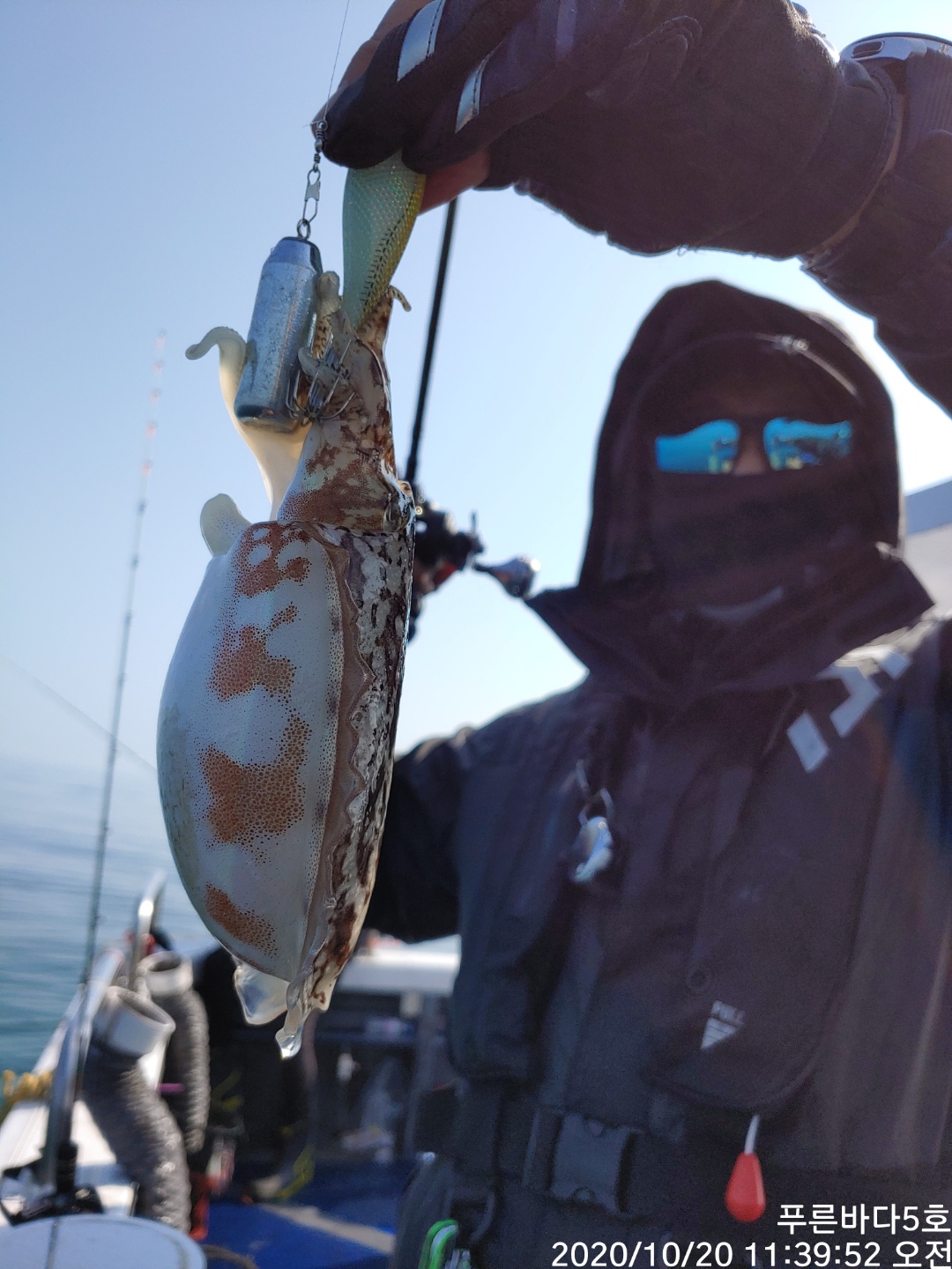 [[[푸바5호]]] 10월 20일 갑돌이~ 조행기~