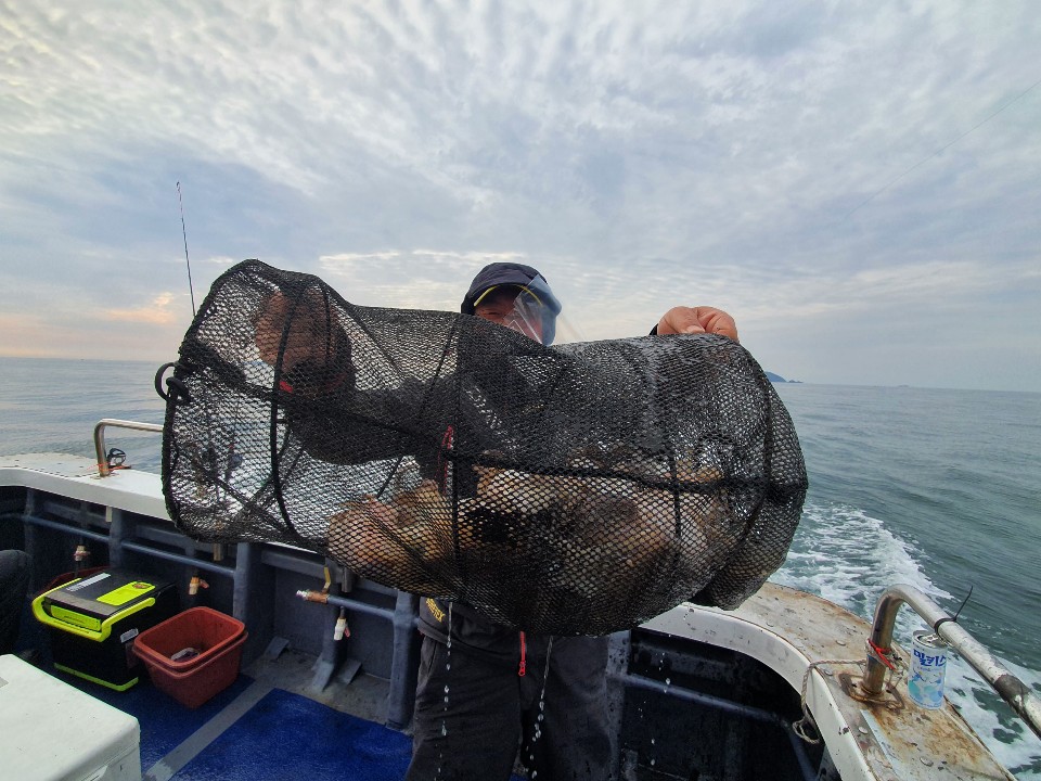 [[[푸바5호]]] 11월 6일 문어~ 조행기~