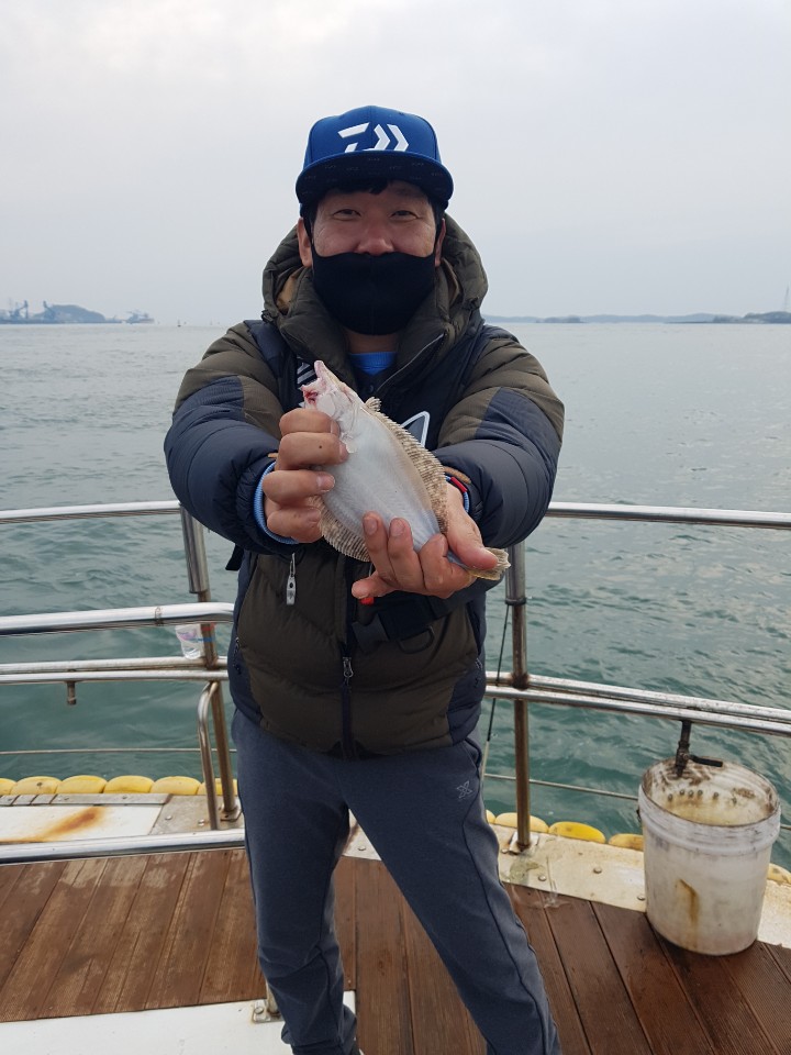 [[[푸바5호]]] 11월 21일 광어,우럭 다운샷~조행기~