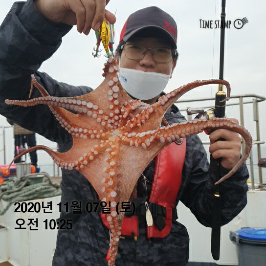 [[[푸바5호]]] 11월 7일 문어~ 조행기~