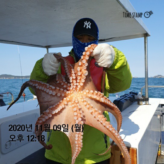 [[[푸바5호]]] 11월 9일 쭈갑졸업식~~ 조행기~