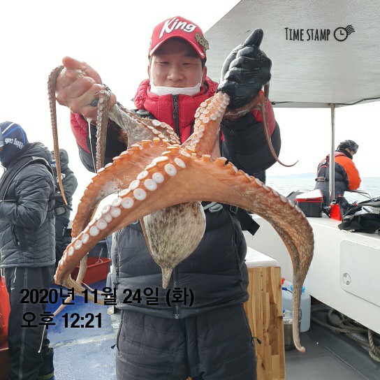 [[[푸바5호]]] 11월 24일 문어~ 조행기~