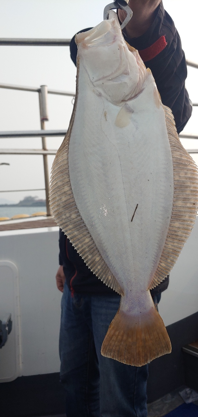 [[[푸바5호]]] 2021년  3월 6일 첫탐사  조행기~