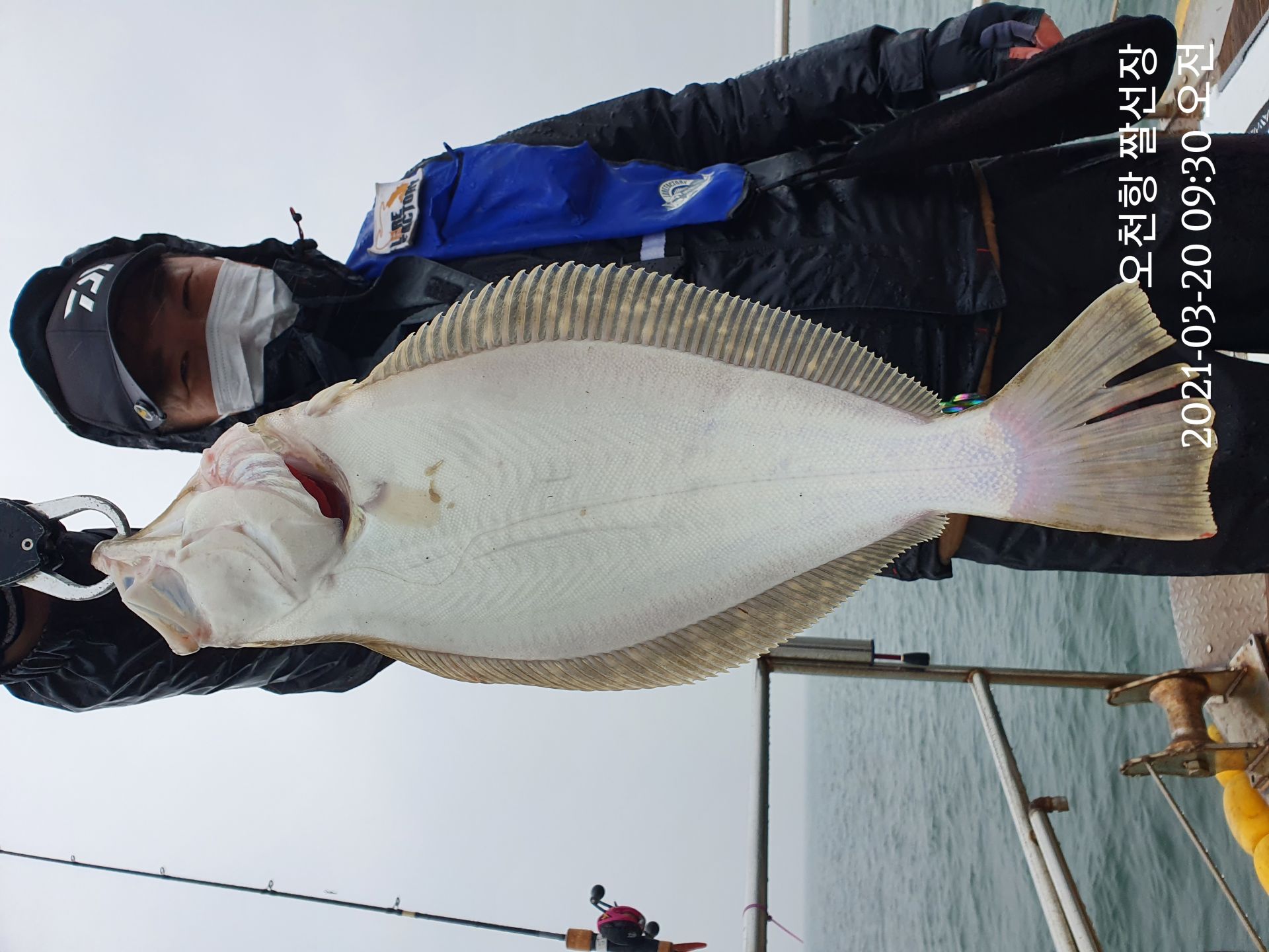 [[[푸바5호]]] 2021년  3월 20일 광어우럭 다운샷~탐사  조행기~