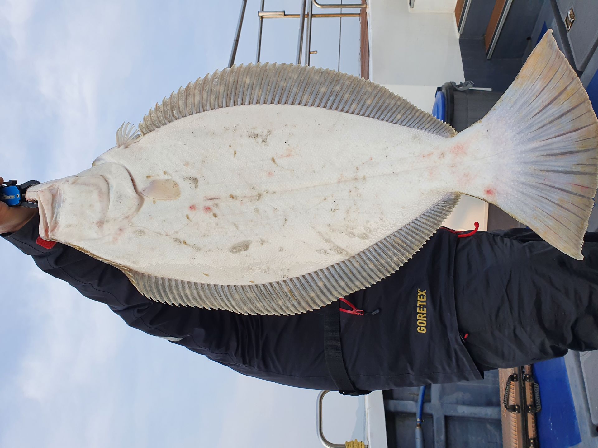 [[[푸바5호]]] 2021년  3월 13일  광어우럭  다운샷  탐사  조행기~