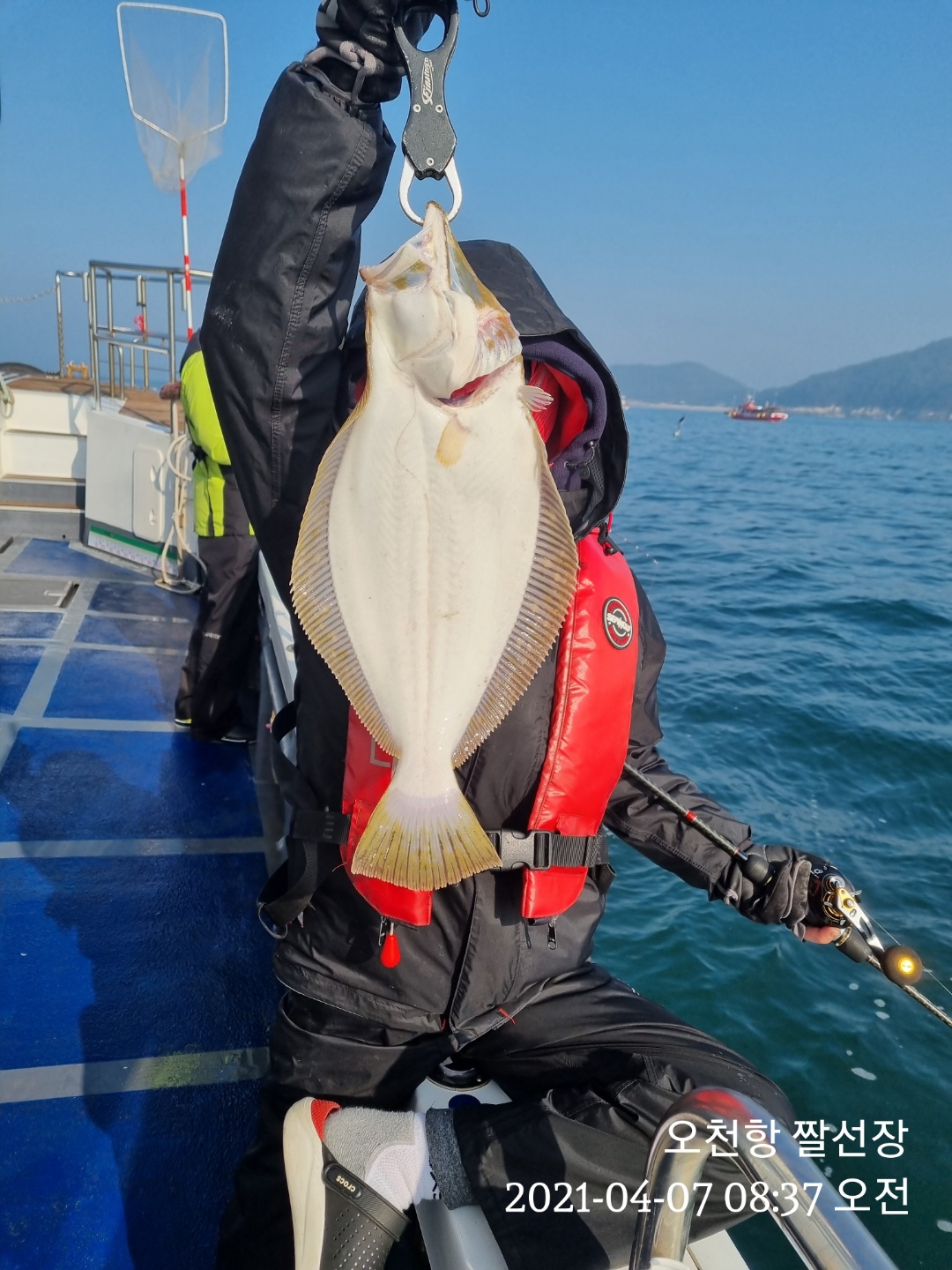 [[[푸바5호]]] 2021년 4월 7일 광어우럭  다운샷 ~짤선장 탐사조행기