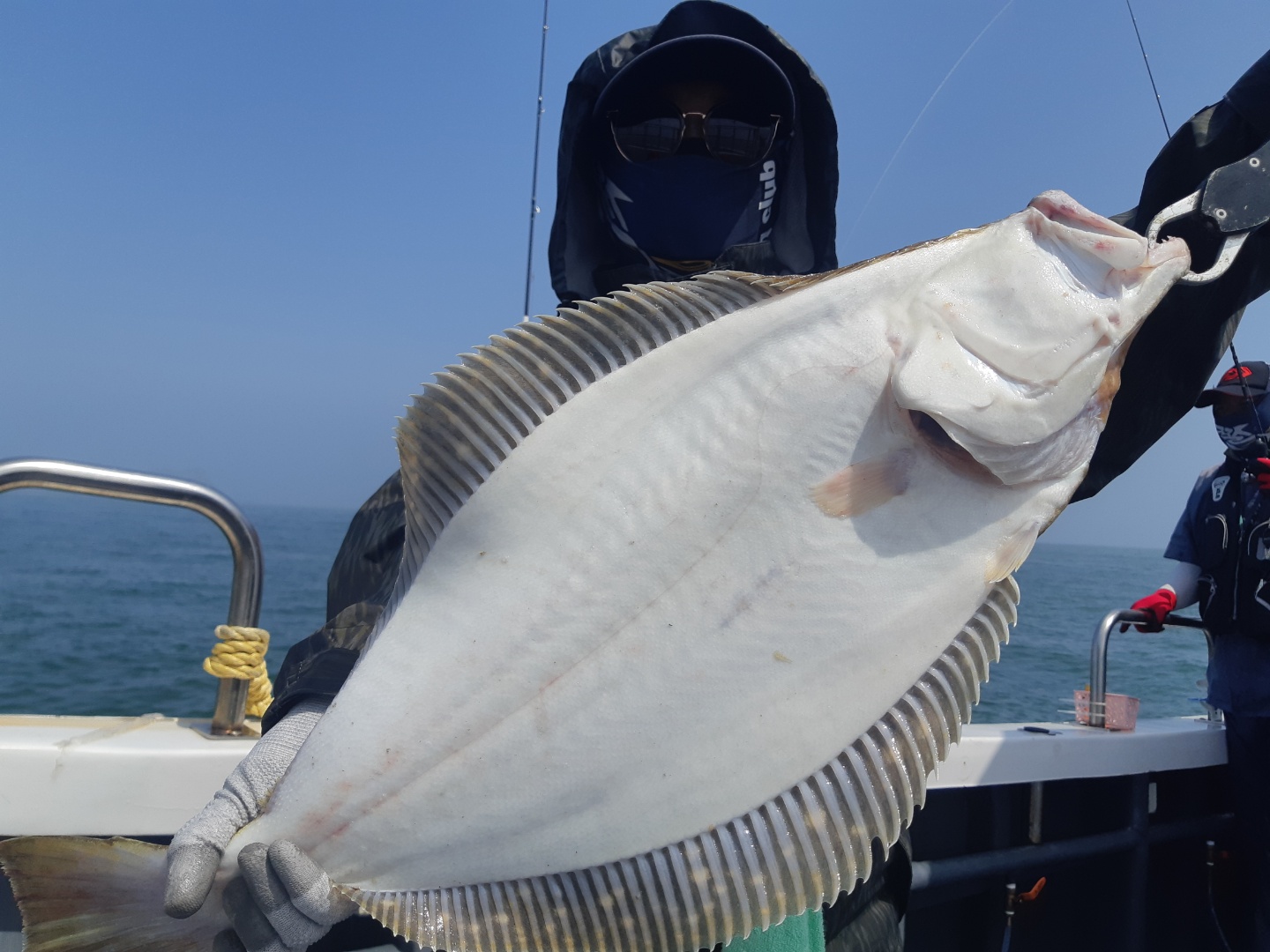 [[푸바5호]] 2021년 5월 9일 짤선장 광어.우럭 다운샷  짤선장 조행기~