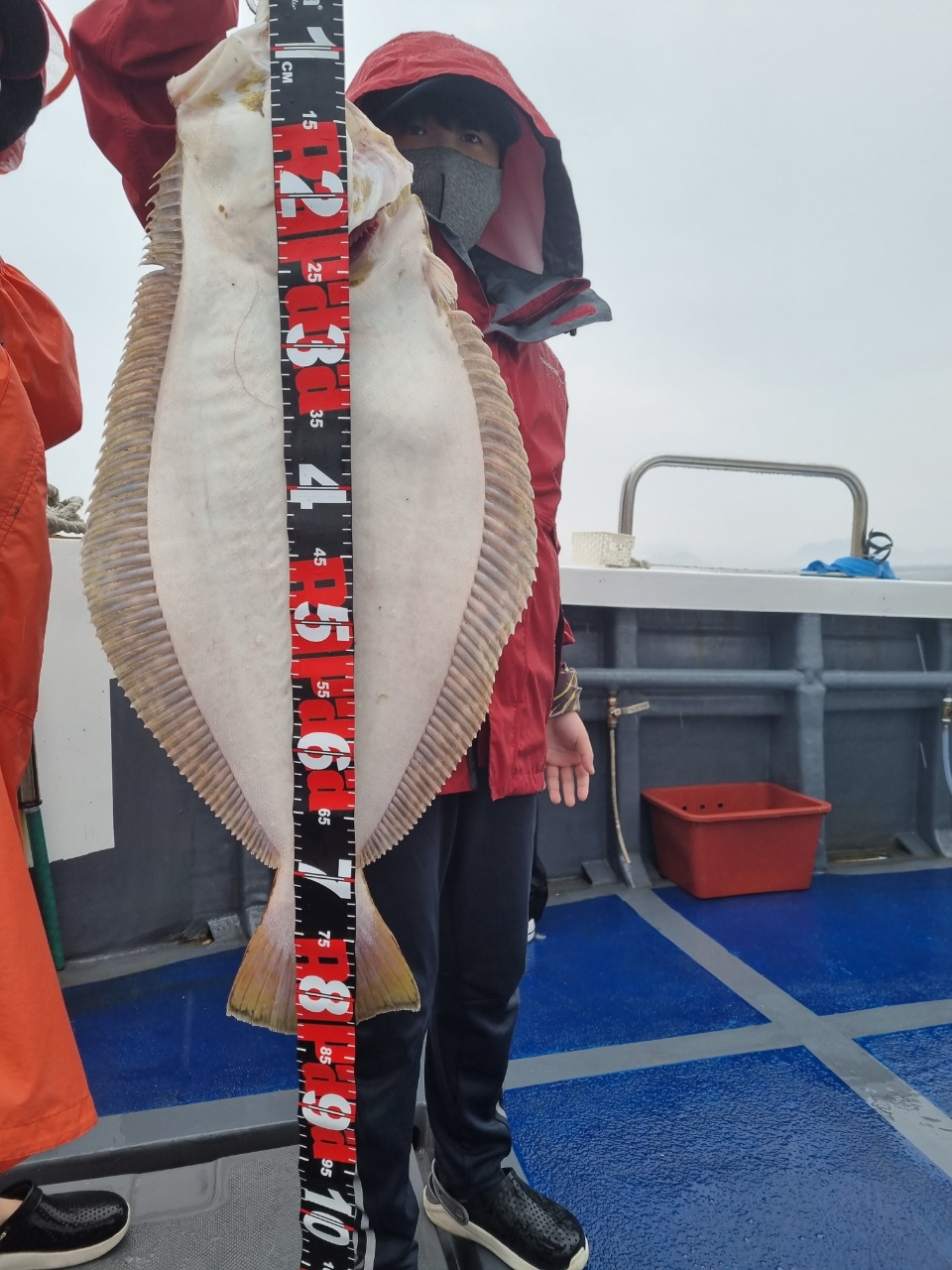 [[푸바5호]] 2021년 8월 1일 광어.우럭 다운샷  짤선장 조행기~